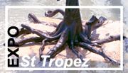 EXPO Saint Tropez 2017 - sculpture métal, fer forgé, Jean Philippe FALLY