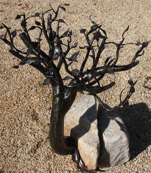 L'arbre dans le rocher